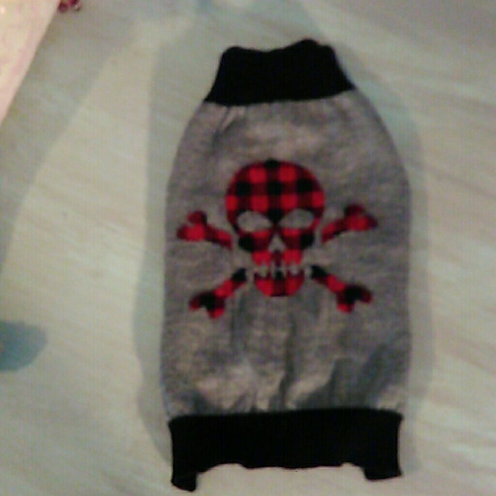 Size small dog skull sweater